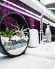doniczki Circle planter "L" - dekoracja ścienna 7