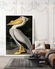 plakaty Plakat Pelikan 1