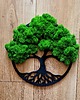 Ozdoby na ścianę Mech chrobotek dekoracja ażurowa obraz drzewko bonsai 1