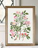 grafiki i ilustracje PLAKAT dekoracyjny , botaniczny, kwiaty ilustracja, róże polne 3