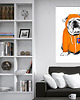 obrazy OBRAZ NA PŁÓTNIE - 60x80cm BULLDOG 1