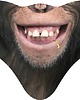 maseczki ochronne Maska FUN MASK MONKEY 2