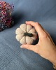 dodatki - różne Dynia ozdobna handmade, rozmiar S, beżowa z zielonym ogonkiem- 1 szt. 1