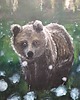 obrazy Spotkanie Obraz Olejny 60x80 Niedźwiedź Las Kwiaty Mgła Moc Dmuchawce 3