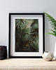 plakaty Plakat Beautiful Nature 1