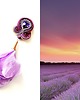 kolczyki soutache Sutaszowe kolczyki  PROVENCE 1