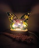 dekoracje świetlne Lampka motyl z naturalnymi kwiatami - turkusowo zielona 5