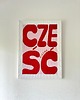 obrazy Obraz plakat akrylowy na płótnie - 'cześć piękna' 30x40cm 2