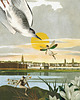 plakaty Plakat kolaż Nieznośna ważkość bytu FineArt giclee 1