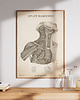 plakaty Plakat Splot Ramienny Vintage 2