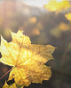 fotografia Zestaw 8 fotografii 7