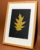 Ozdoby na ścianę Obraz Botaniczny. Złoty Liść Dębu. Drewniana Ramka Dąb 20x30cm 2