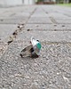 pierścionki - różne Zielonek - pierścionek regulowany 1
