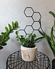 kwietniki Drabinka do kwiatów domowych Grow High Honey 3