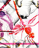grafiki i ilustracje Dragonfly 2 - grafika 1