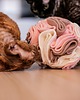 Zabawki dla zwierząt Kula węchowa, Smakula na przysmaki dla psa i kota MAGNOLIA 8
