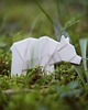 broszki Broszka Porcelanowa Origami Niedźwiedź Biała 4