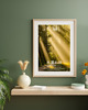 fotografia PLAKAT Komorebi japoński natura fotografia las 6