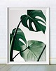 plakaty DWA PLAKATY galeria botaniczne monstera 3