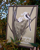 plakaty Plakat A3 Budujemy sobie gniazdko 3