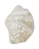 miski i misy Popielnica, misa muszla ceramiczna Shorter & Son, Anglia, lata 70. 7