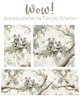 fototapeta Tapeta Koala Kingdom 4