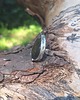 pierścionki - różne Tęczowy - pierścionek regulowany 4