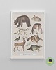obrazy i plakaty do pokoju dziecięcego Plakat Leśne Zwierzęta Vintage Boho 2