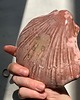 pojemniki na biżuterię Podstawka na Biżuterię Palo Santo Ceramiczna Muszelka Różowa 6