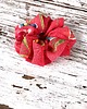 gumki do włosów Pela' SCRUNCHIE "Malina" w kwiatki 3