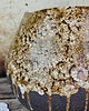wazony Wazon ceramiczny 2