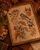 plakaty PLAKAT sikorka, vintage ilustracja botaniczna, jesienna dekoracja 2