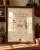 grafiki i ilustracje Vintage grafika botaniczna zioła 4