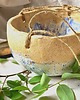 doniczki Osłonka ceramiczna Nakrapiana 1
