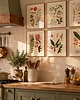 grafiki i ilustracje Ilustracje botaniczne vintage grafiki kwiaty do kuchni 6