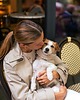 ubranka dla zwierząt WOOLDOG komin Supreme (Powiew Beżu) merynos 2