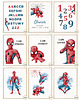 obrazy i plakaty do pokoju dziecięcego Zestaw 3 plakatów Spiderman, metryczka, imię dziecka Wzory 4