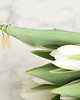 kolczyki z mosiądzu Minimalist Marquise Earrings 1
