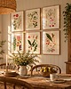 grafiki i ilustracje Ilustracje botaniczne vintage grafiki kwiaty do kuchni 1