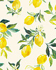 tapety i naklejki ścienne Tapeta - Cytrynowy ogród 1
