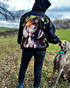 bluza z kapturem damska Bluza Psiarza na spacery outdoorowa softshell 4