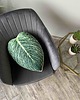 poduszki z grafiką Poduszka Liść Philodendron Birkin Filodendron 3