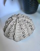 miski i misy Dekoracyjną  ceramiczna miska organiczna 3