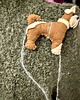 swetry damskie DOG WALK 2