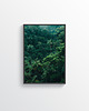 plakaty Plakat -Jungle 2