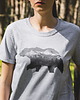t-shirt damskie Koszulka damska NIEDŹWIEDŹ BRUNATNY jasnoszara 3