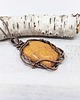 wisiory Fossil  m117 4
