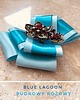 broszki Brosza Blue Lagoon NEW 2
