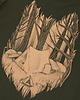 t-shirt damskie Koszulka damska WILK/LEŚNE   khak 2