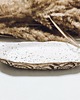 patery i talerze Patera Shapes - głębia morska 3